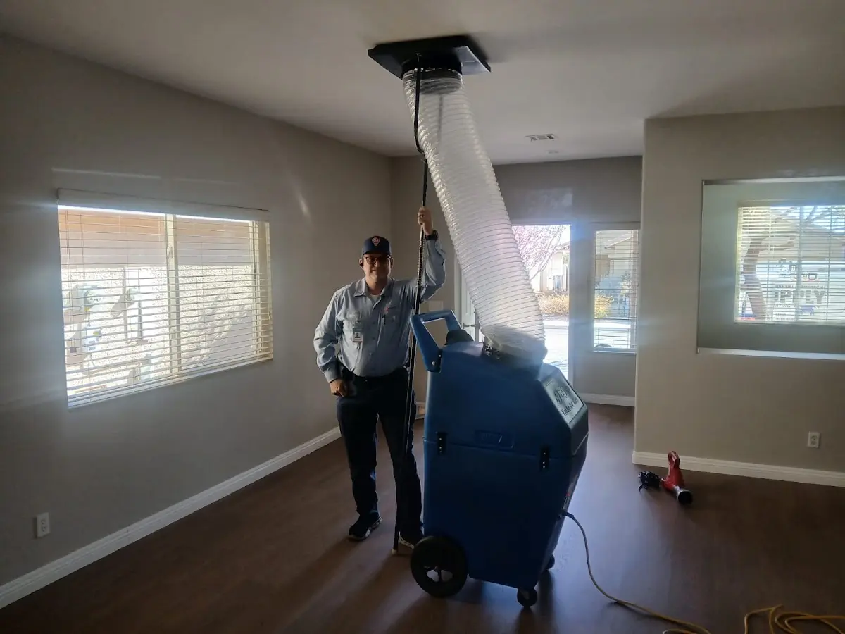 Professional Dryer Vent Cleaning work inside a Northfield home